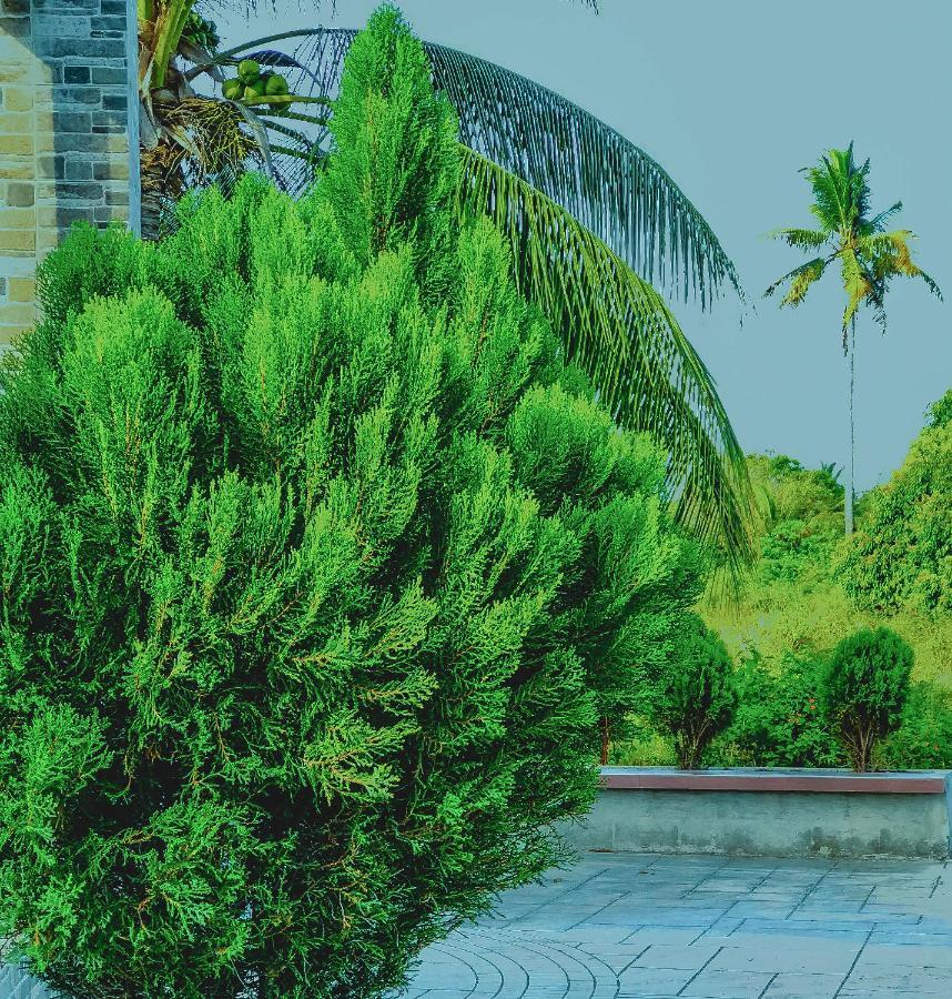 La Plumerias Moalboal Exterior photo